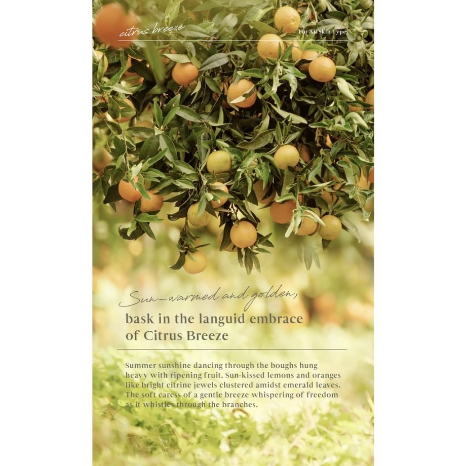 Plant Origins Citrus Breeze Body Wash (500ml)